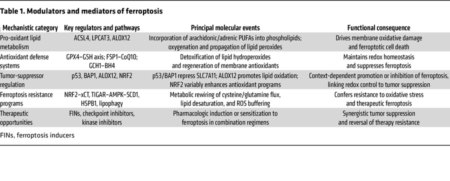 Modulators and mediators of ferroptosis