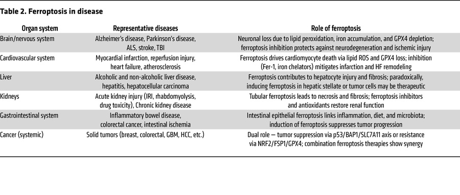 Ferroptosis in disease