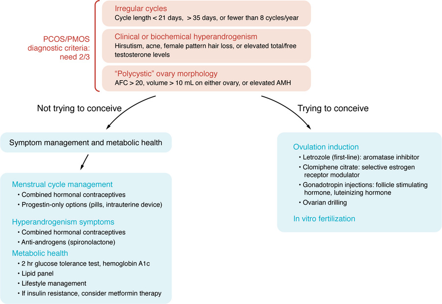 Individualized treatment for PCOS/PMOS.
Flow chart describing therapeuti...