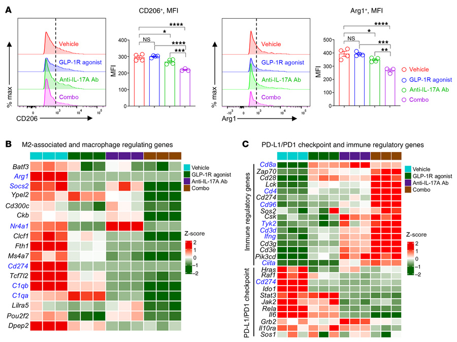 Combo therapy with a GLP-1R agonist and an anti–IL-17A antibody reduces ...