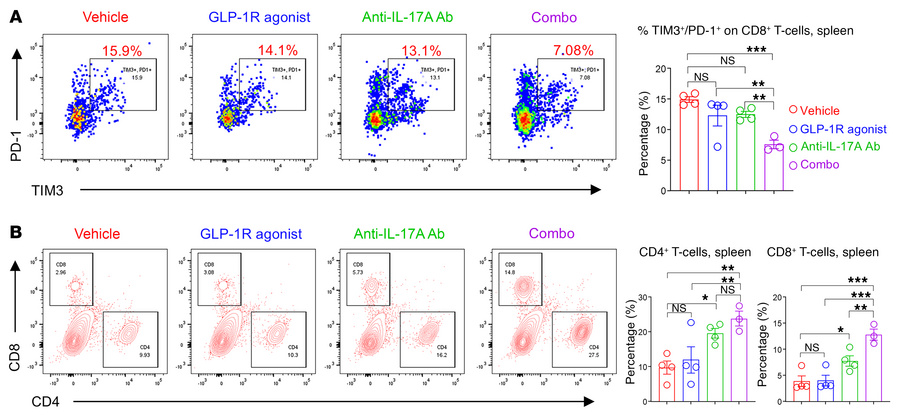 Combo therapy with a GLP-1R agonist and an anti–IL-17A antibody reduces ...