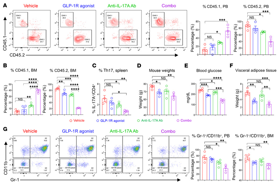 Combination therapy with GLP-1R agonist and an anti–IL-17A antibody redu...