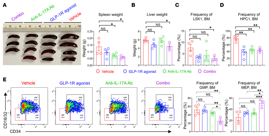 Combination treatment with a GLP-1R agonist and anti–IL-17A antibody att...