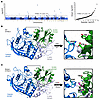 Association of PTPN11 mutations with obesity-related traits and cancer prev