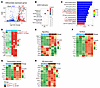 Shp2E76K/+ HSC/Ps transplantation drives inflammatory and metabolic dysregu