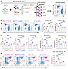 Shp2E76K/+-mutant cells outcompete the normal WT cells in Ob/Ob recipients.