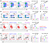 Shp2E76K/+-mutant myeloid blasts and HSC/Ps are expanded in Ob/Ob recipient