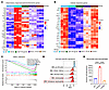 Combined GLP-1R agonism and IL-17A blockade restores BM immune homeostasis