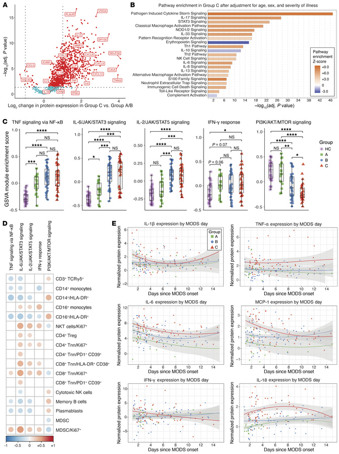 Patients in Group C exhibit a hyperinflammatory plasma with concurrent a...
