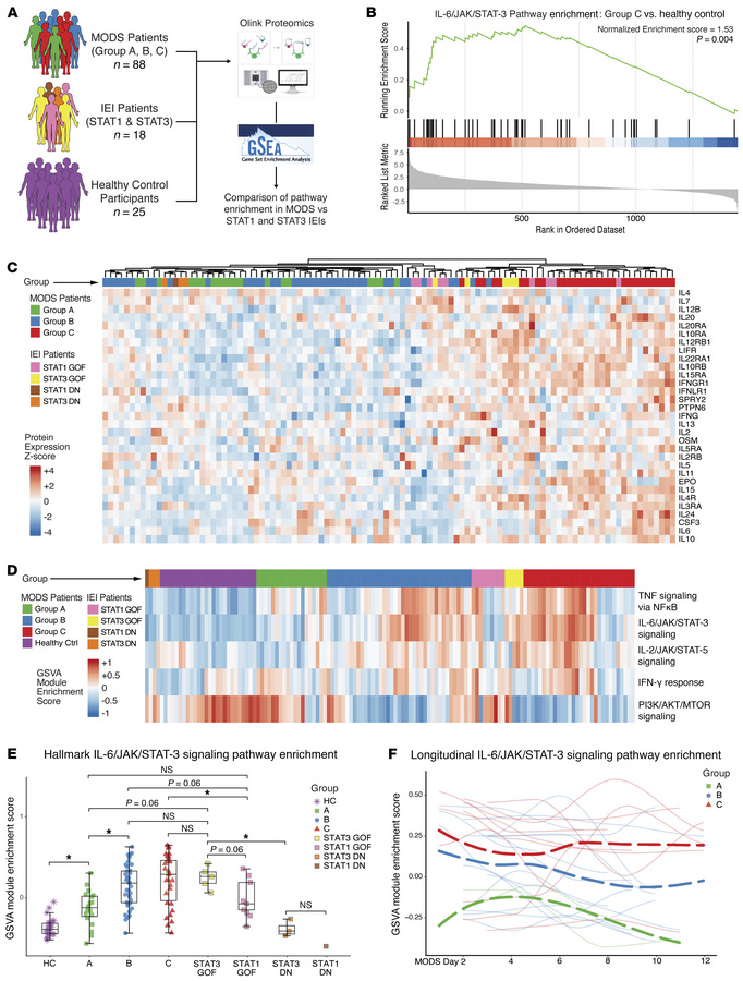 STAT3 pathway activation in patients in Group C meets or exceeds that ob...