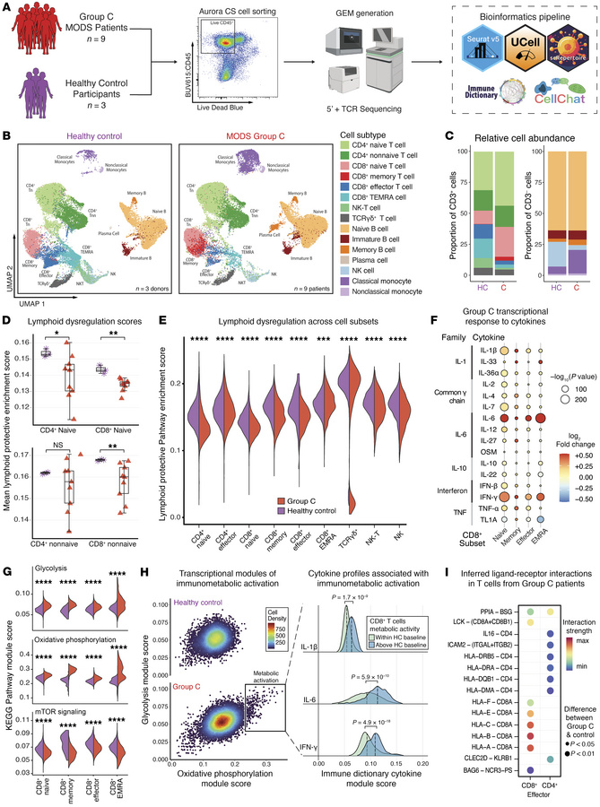STAT1 and STAT3 signaling promote T cell immunometabolic dysregulation.
...