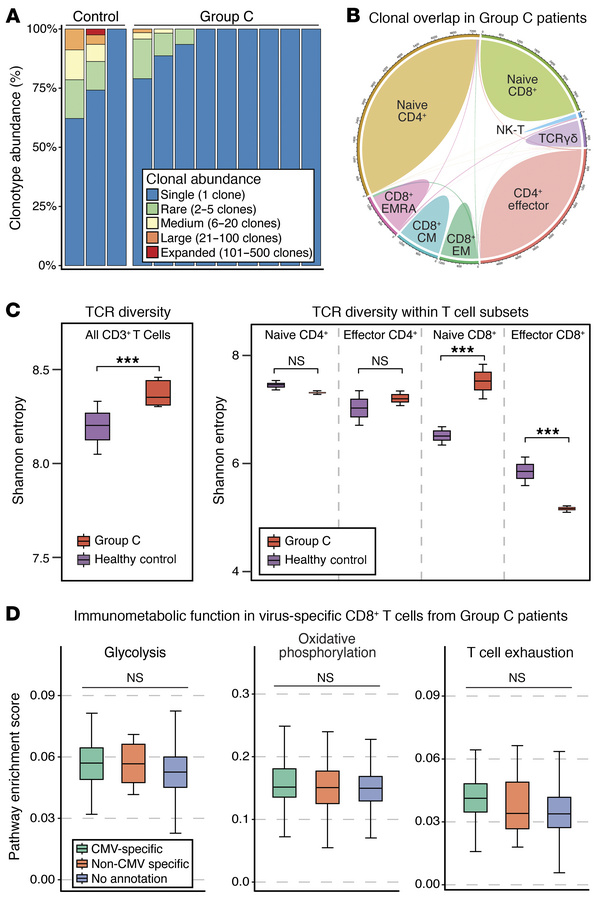 Polyclonal, antigen-independent T cell activation in patients in Group C...