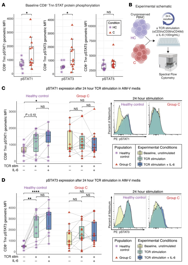 IL-6 and IFN-γ signaling drive aberrant STAT pathway activation and T ce...