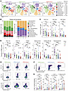 Immune cell abundance and activation state differ across proteomic subgroup