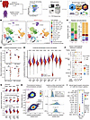 STAT1 and STAT3 signaling promote T cell immunometabolic dysregulation.