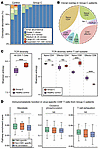 Polyclonal, antigen-independent T cell activation in patients in Group C.