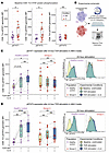 IL-6 and IFN-γ signaling drive aberrant STAT pathway activation and T cell