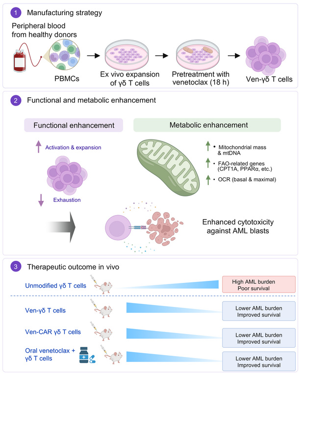graphical abstract