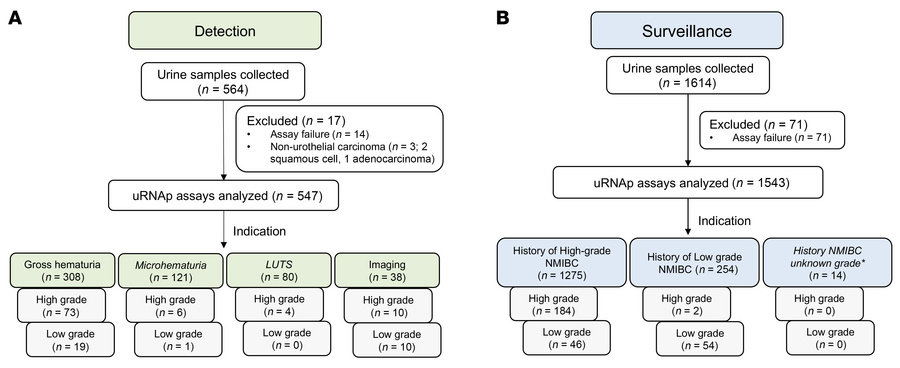 Urine samples collected and analyzed for validation of uRNAp.
(A) For th...