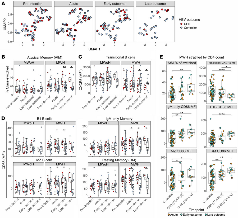Differences by HBV outcome in global B cell populations are minimal and ...