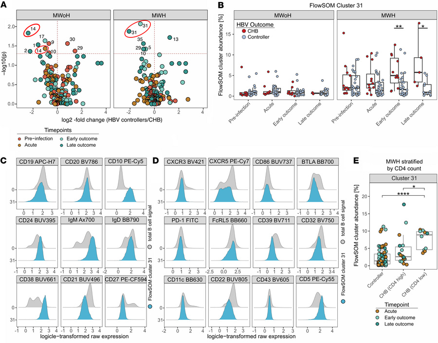 Unsupervised FlowSOM clustering reveals a Breg population upregulated in...