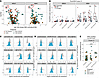 Unsupervised FlowSOM clustering reveals a Breg population upregulated in MW