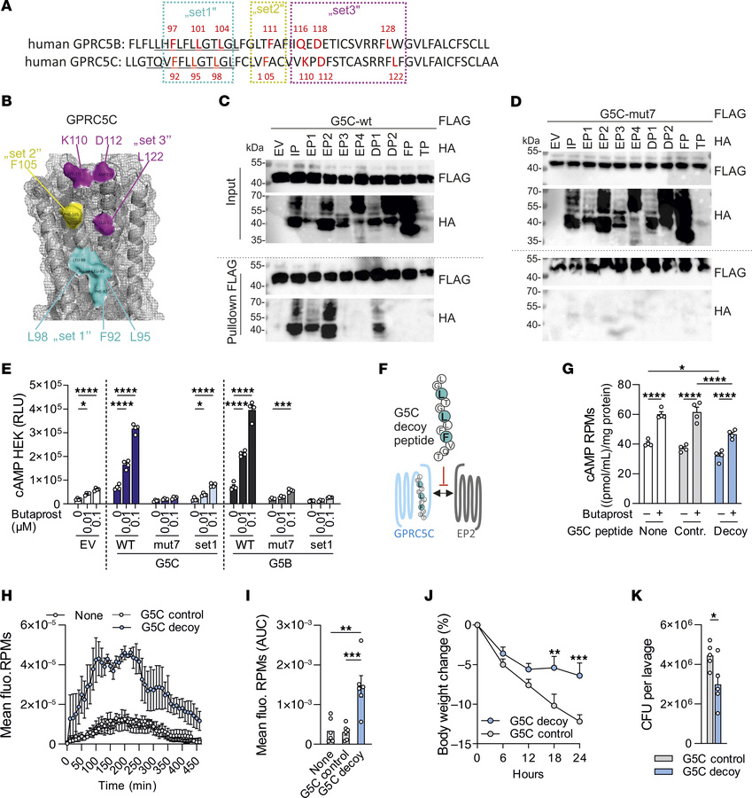 GPRC5C-mediated effects on cAMP production and macrophage activity are b...