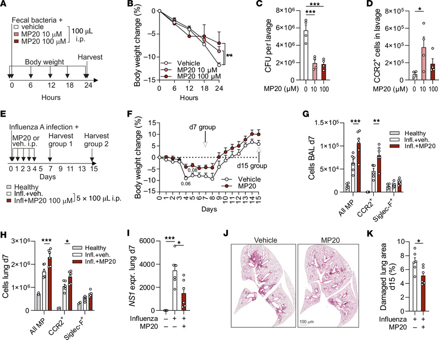 MP20 improves host defense both in bacterial peritonitis and influenza A...