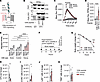 GPRC5B decoy peptide blocks GPRC5B/EP2 dimerization and enhances macrophage