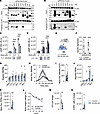 GPRC5C resembles GPRC5B with respect to dimerization pattern, effect on cel