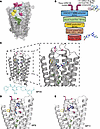 In silico screening for small molecule inhibitors of GPRC5B dimerization.