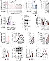 Functional characterization of small molecule inhibitors of GPRC5B/C dimeri
