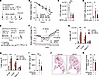 MP20 improves host defense both in bacterial peritonitis and influenza A vi