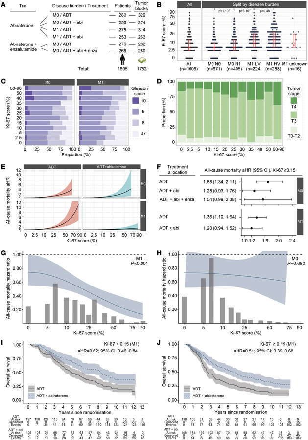Ki-67 proliferation score in advanced prostate cancer.
(A) Sample flow (...