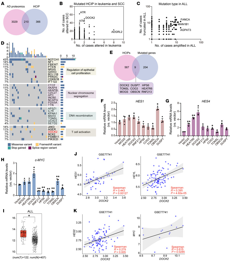 Identification of DOCK2 as a critical regulator of γ-secretase–mediated ...