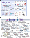 Establishing a comprehensive γ-secretase PPI network.