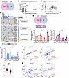 Identification of DOCK2 as a critical regulator of γ-secretase–mediated NOT