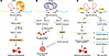 Molecular mechanisms of spliceosome protein mutation–induced ineffective er