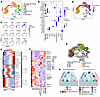 AHCY deficiency leads to cell fate reprogramming of erythroblasts.