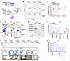 Reduction of H3K4me3 leads to cell fate reprogramming of erythroblast.