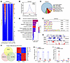 Reshaped H3K4me3 landscape causes remodeling expression pattern of lineage-
