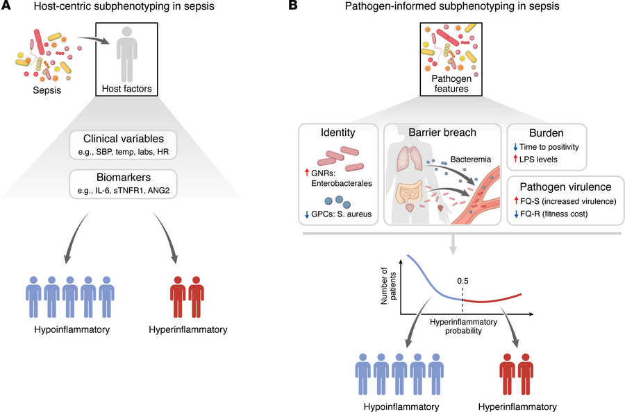 Integrative host-pathogen phenotyping in sepsis: from host-centric to pa...