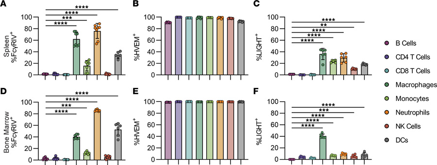 Neutrophils, monocytes/macrophages, and DCs express FcγRIV, HVEM, and LI...