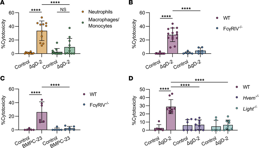 Mouse neutrophils require FcγRIV, HVEM, and LIGHT to mediate antibody-me...