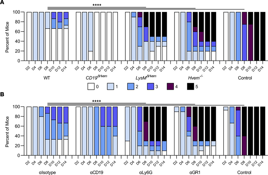 HVEM expression by neutrophils is required for passive immune protection...
