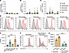 Neutrophils generate RNOS but not granzyme or perforin when cocultured with