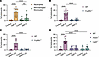 Mouse neutrophils require FcγRIV, HVEM, and LIGHT to mediate antibody-media