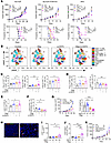PARPi plus CD73 blockade substantially reduces tumor growth via CD8+ T cell
