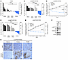 EZH2 and PI3K pathway inhibitors promote the regression of CRPC tumors in v