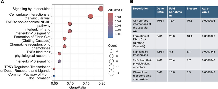 Lp(a) as a predictor of proteomic features.
Sixty-two proteomic features...